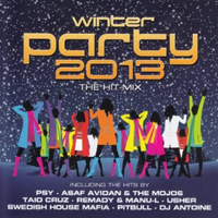 Winter Party 2013 The Hit-Mix