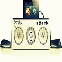 In The Mix 009