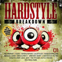 Hardstyle Breakdown 1