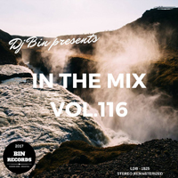 In The Mix 116