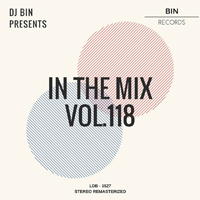 In The Mix 118