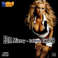 EDM Mixery Edition 12