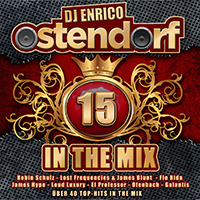 In The Mix 15