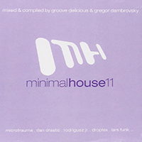 MinimalHouse 11