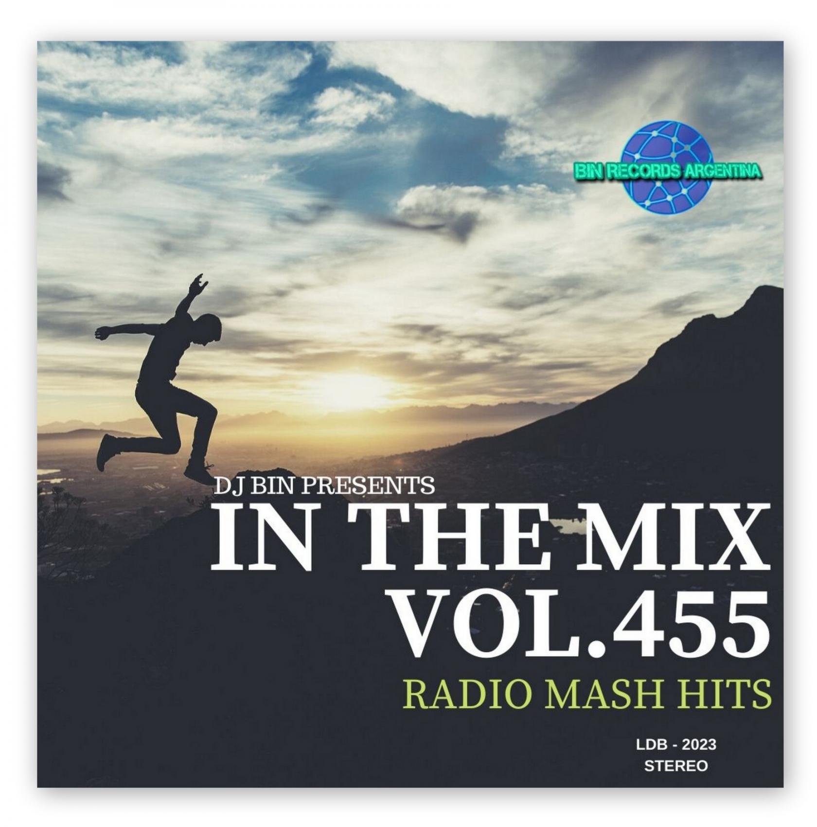 In The Mix 455