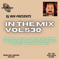 In The Mix 530
