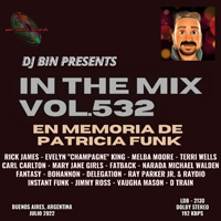 In The Mix 532