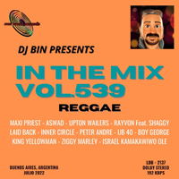 In The Mix 539