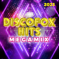 Discofox Hits Megamix 2023