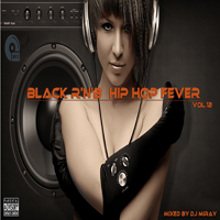 Black RnB Hip Hop Fever 12