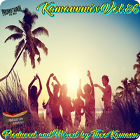 Kamannmix 86