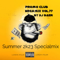 Real Promo Club Megamix #77