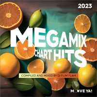Megamix Chart Hits 2023