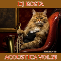 Acoustica 28