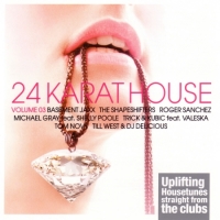24 Karat House 3
