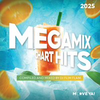 Megamix Chart Hits 2025
