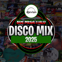 80s Mega Italo Disco Mix 2025