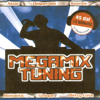 Megamix Tuning